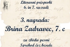 Diapozitiv54