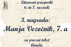 Diapozitiv55