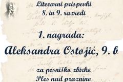Diapozitiv57
