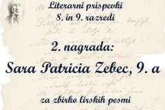 Diapozitiv58