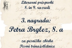 Diapozitiv59