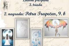 Diapozitiv70