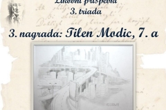 Diapozitiv72