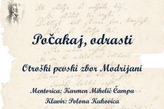 Diapozitiv88